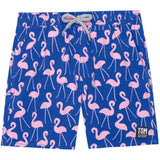 Tom & Teddy Boys' Flamingo Swim Trunk