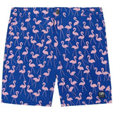 Tom & Teddy Men's Flamingo Swim Trunk