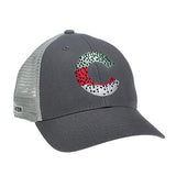 RepYourWater Colorado Rainbow Skin Hat