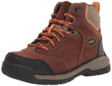 Bogs Men's Bedrock II 6" CT WP Boots